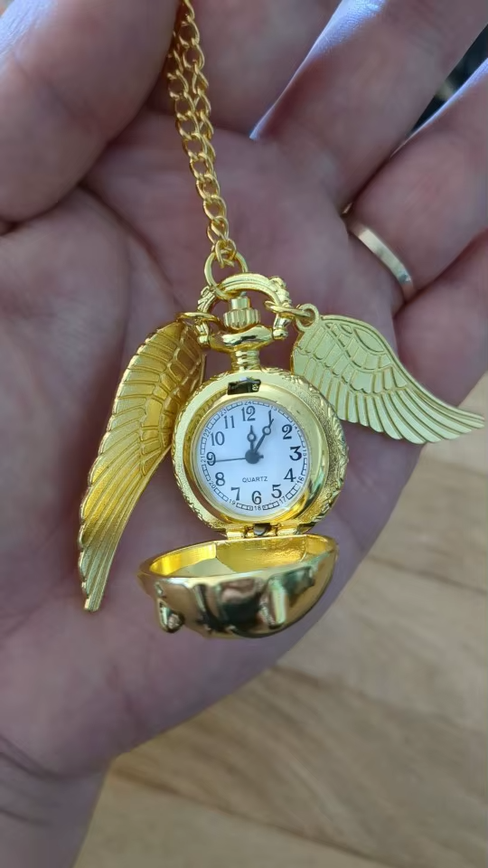 montre gousset or