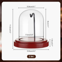 Présentoir Montre à Gousset en Verre
